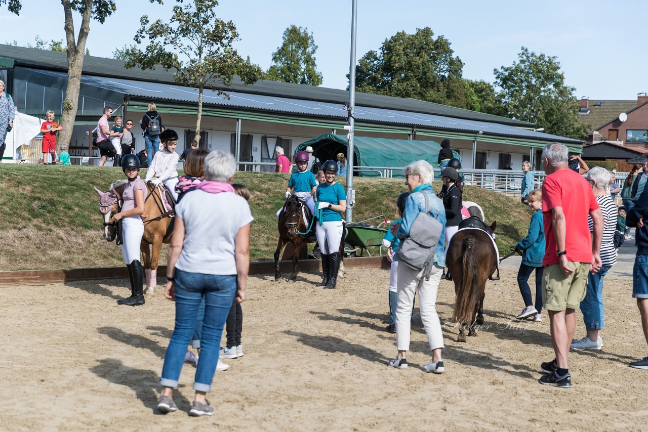 Bild 2 - Pony Akademie Turnier